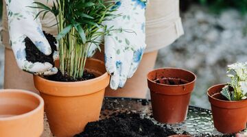 How to take a garden with you