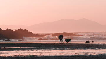 Moving to the Beach: Make your Dream a Reality
