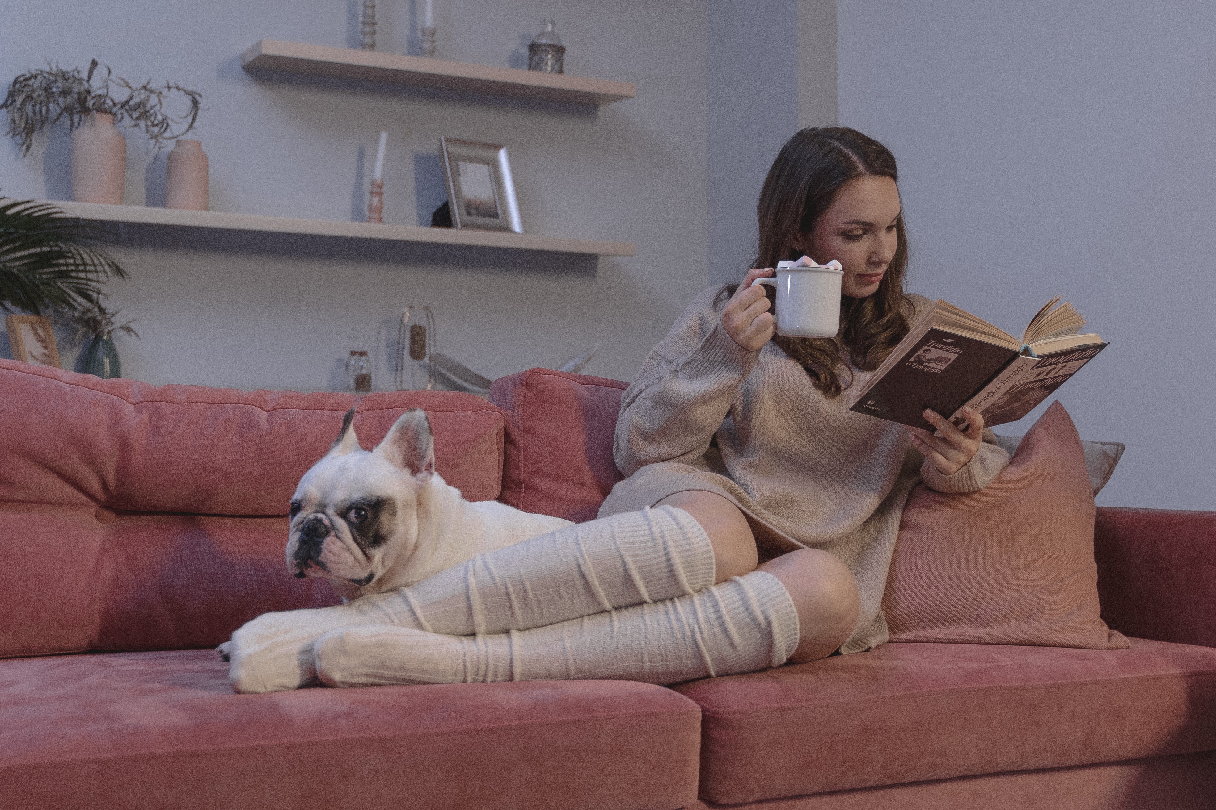 10 tips to make your house pet-friendly